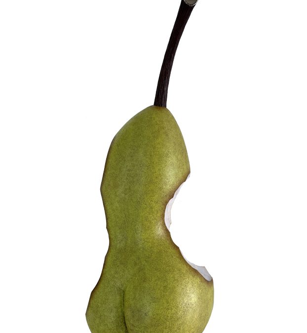 RAYOU Dominique